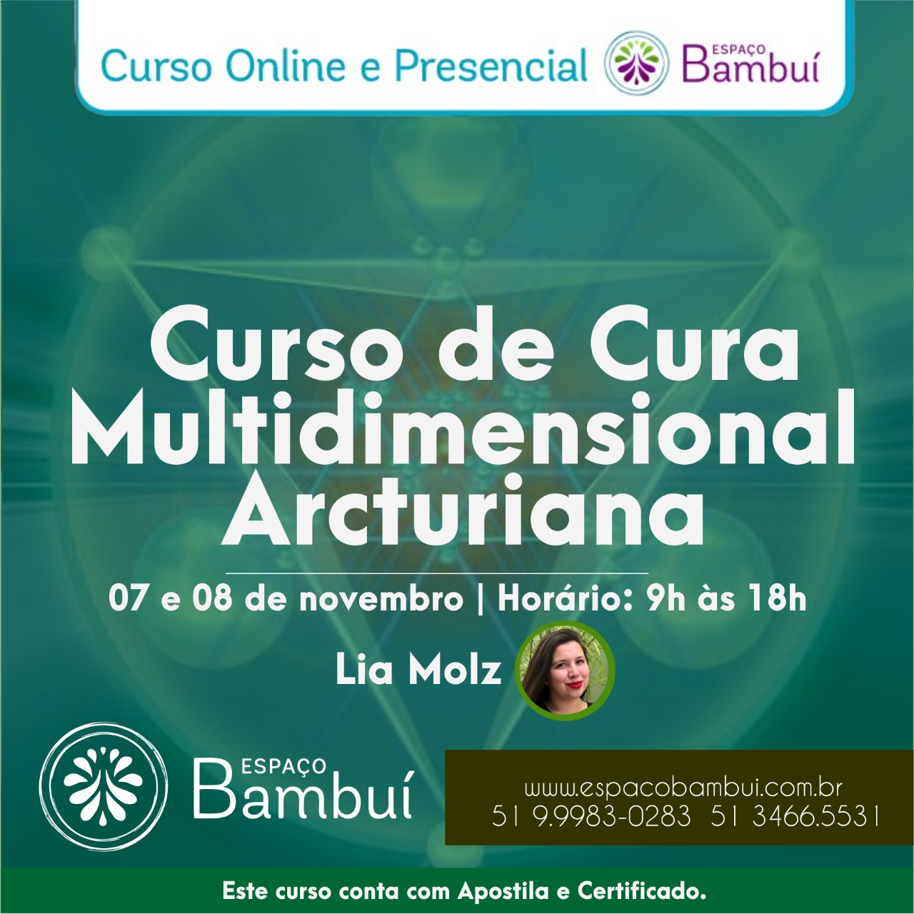 Curso de Cura Multidimensional Arcturiana (07/11/2020) 7
