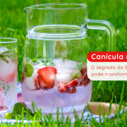 Canícula no verão: o segredo da 5ª estação que pode transformar sua saúde 2
