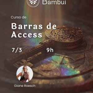 Curso de Barras de Access - MARÇO 28