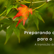 Preparando o corpo para o outono: a transição das estações 4