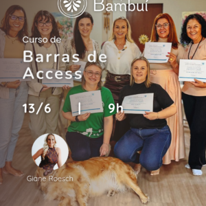 Curso de Barras de Access - JUNHO 20