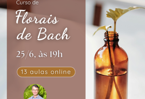 Curso de Florais de Bach - online 29