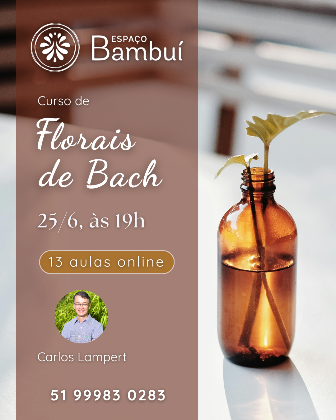 Curso de Florais de Bach - online 7