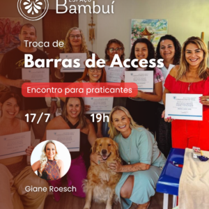 Troca de Barras de Access - atendimentos entre facilitadores - JULHO 44