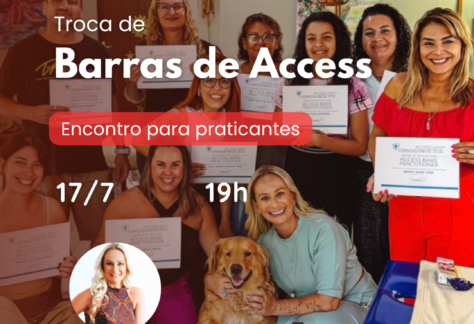 Troca de Barras de Access - atendimentos entre facilitadores - JULHO 4